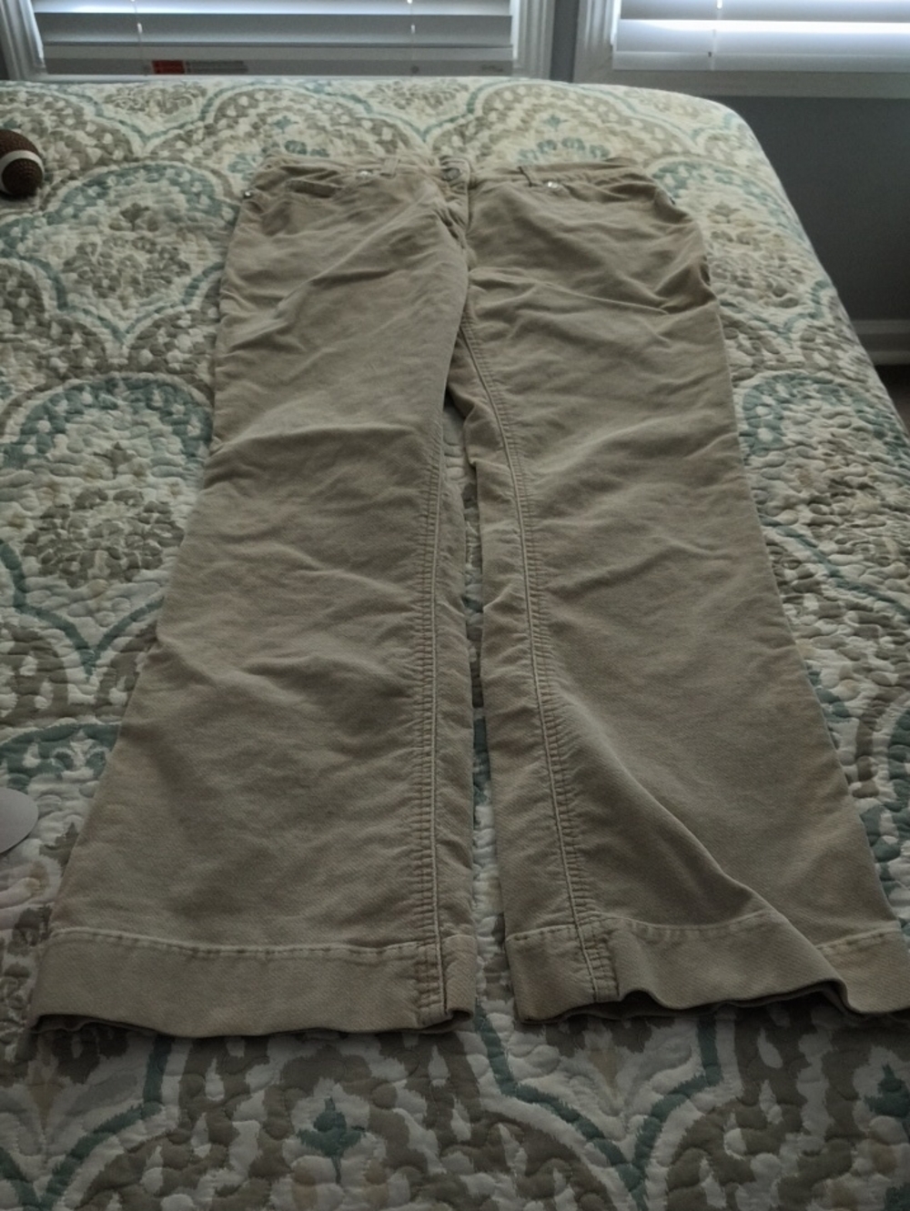 No Boundaries Whipped Latte Neutral Cotton Pants